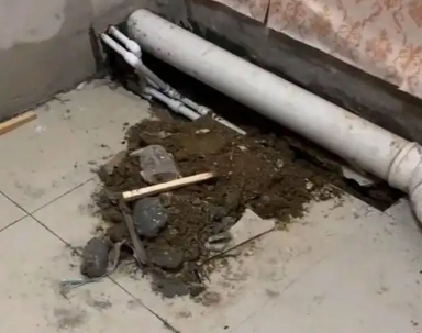 鄯善卫生间漏水检测哪家好